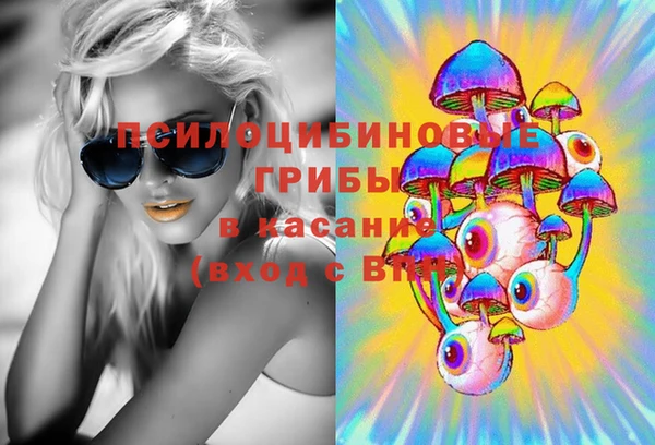 соль ск Вязьма