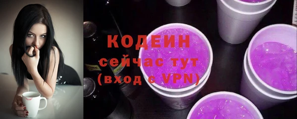 соль ск Вязьма